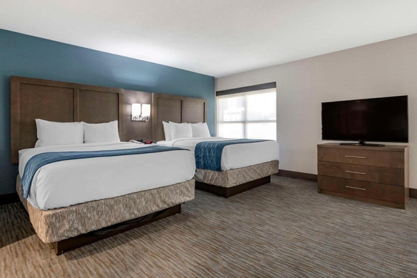 Comfort Inn & Suites Downtown Brickell-Port of Miami Image #18 Comfort Inn & Suites Downtown Brickell-Port of Miami Image #18