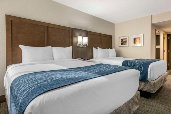 Comfort Inn & Suites Downtown Brickell-Port of Miami Image #36 Comfort Inn & Suites Downtown Brickell-Port of Miami Image #36