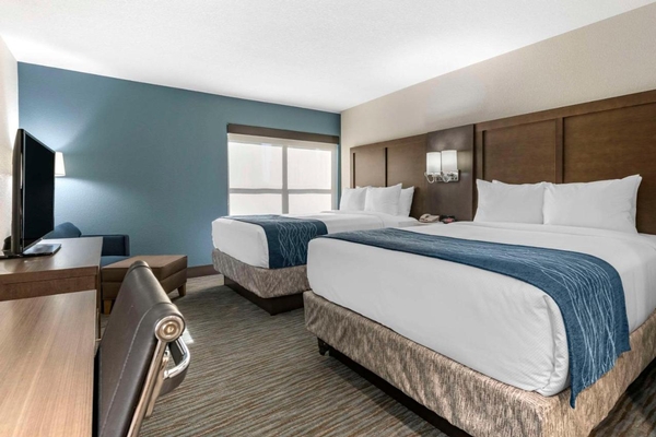 Comfort Inn & Suites Downtown Brickell-Port of Miami Image #37 Comfort Inn & Suites Downtown Brickell-Port of Miami Image #37