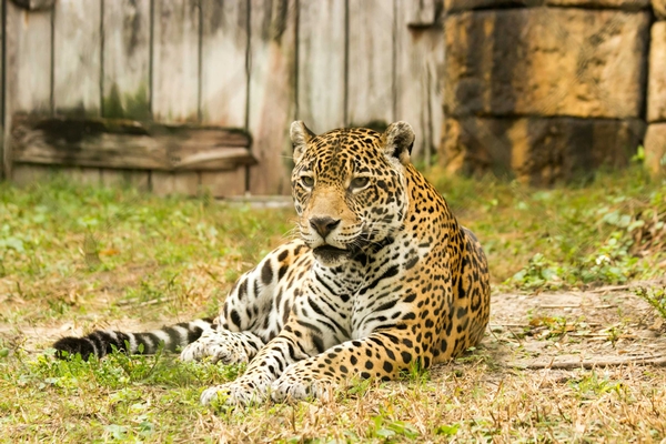 Zoo Miami Image #2 Zoo Miami Image #2