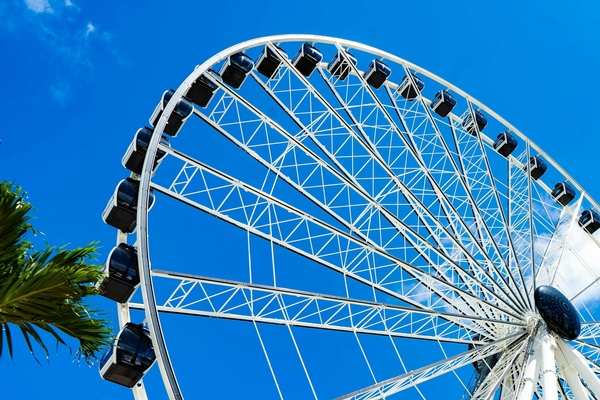 Skyviews Miami Observation Wheel Image #2 Skyviews Miami Observation Wheel Image #2