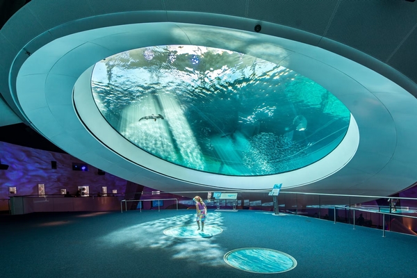 Phillip & Patricia Frost Museum of Science Image #16 Phillip & Patricia Frost Museum of Science Image #16