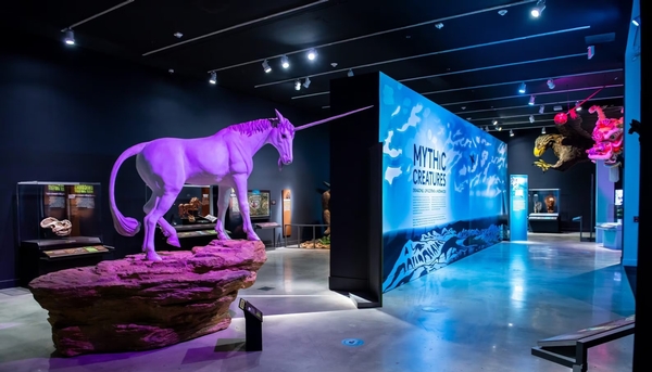 HistoryMiami Museum Image #9 HistoryMiami Museum Image #9