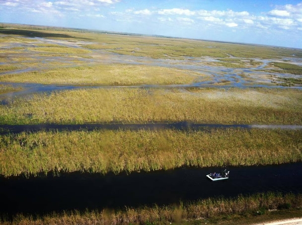 Sawgrass Recreation Park Image #4 Sawgrass Recreation Park Image #4