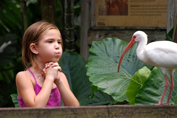Flamingo Gardens Image #7 Flamingo Gardens Image #7